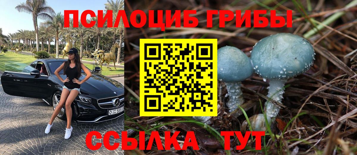 дарнет шоп  Псилоцибиновые грибы мицелий  Вход с VPN  Новоуральск 